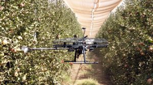 Drone de colheita de frutas. Foto: Tevel Aerobotics Technologies Ltd