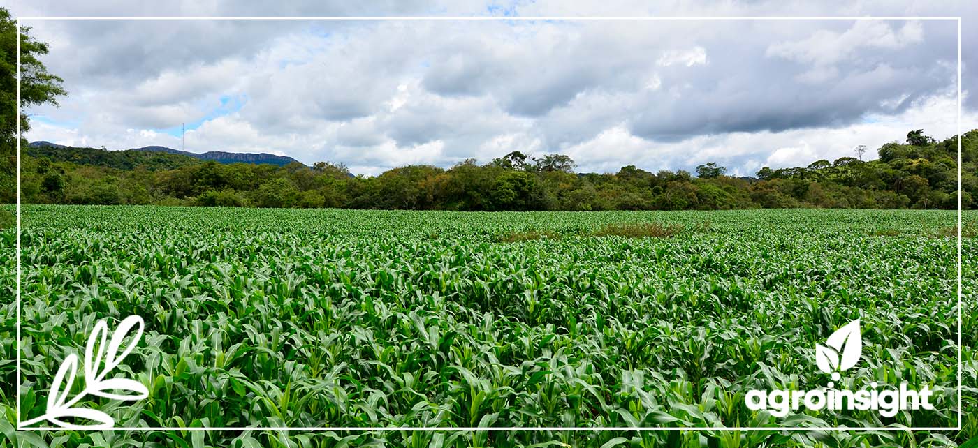 PDF) Aplicações da agricultura de precisão na cultura da soja