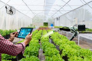 Agricultura Digital e o avanço da tecnologia
