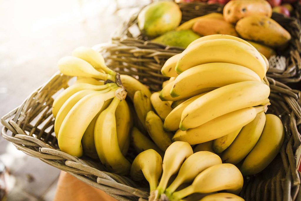 Panorama da Fruticultura Brasileira: Banana