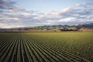 NDVI: Uma ferramenta essencial à agricultura moderna