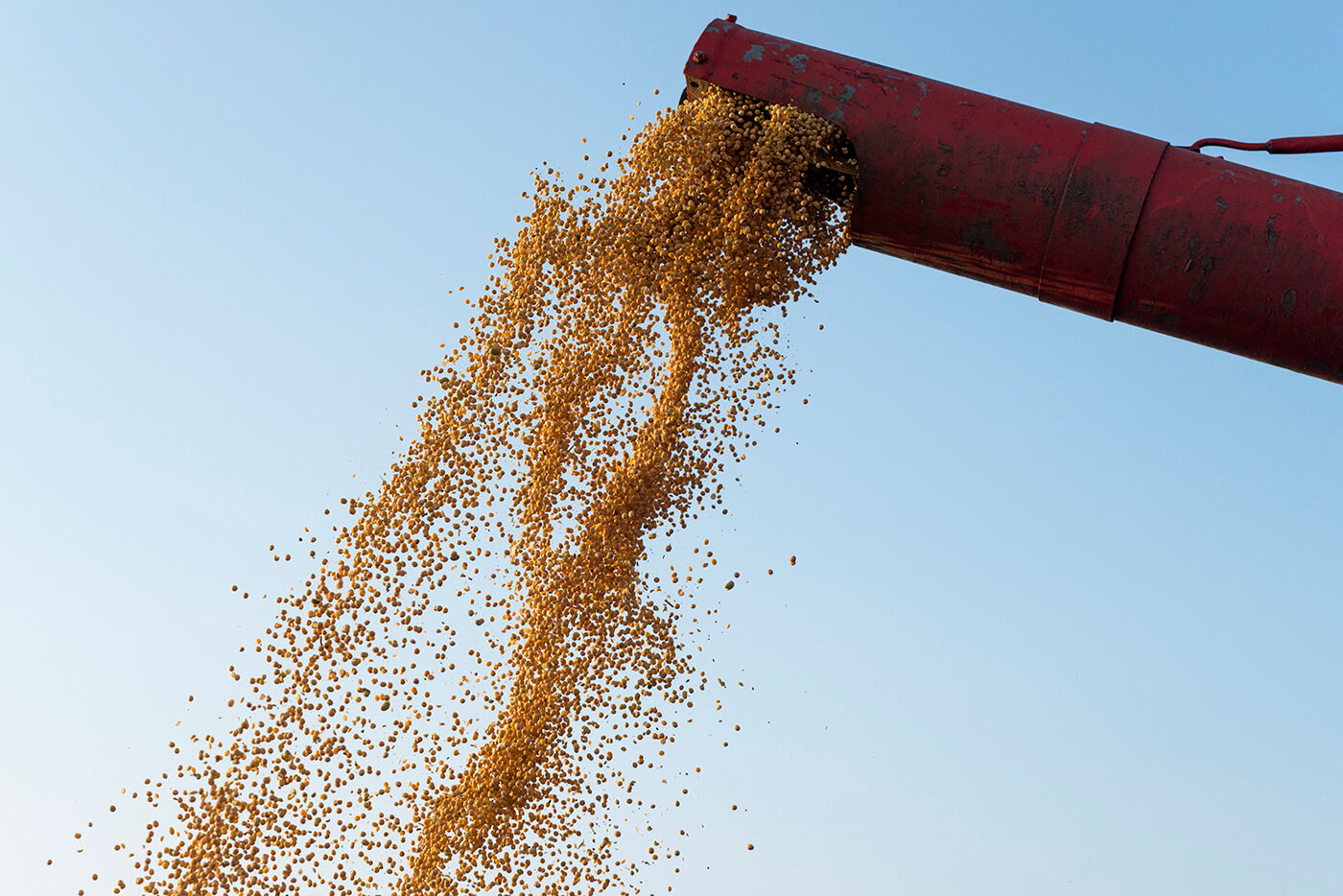 Tecnologia na análise de grãos proporciona maior nível de informação ao produtor