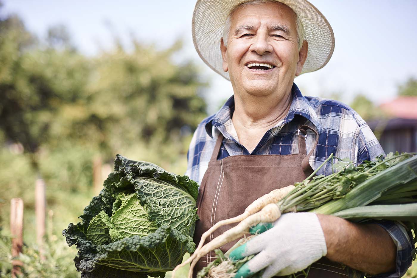 Agricultura familiar e o Programa de Aquisição de Alimentos