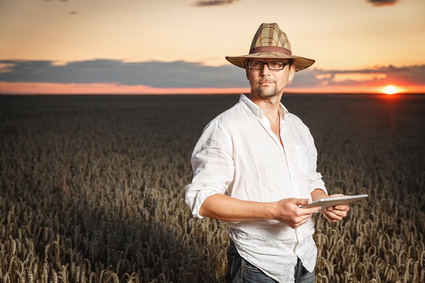 A complexidade da agricultura brasileira