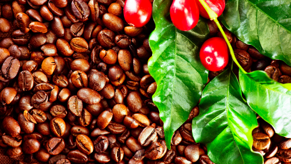 Nematoides na cultura do café