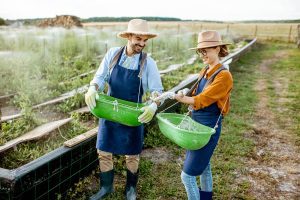 Principais Notícias da Semana no Mundo Agro