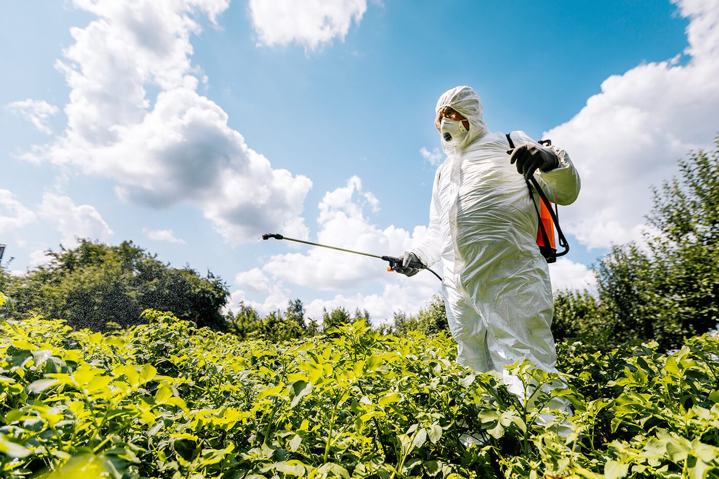 Herbicida Dorai - IHARA Defensivos Agrícolas