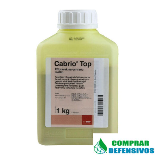 Cabrio Top 1 Kg