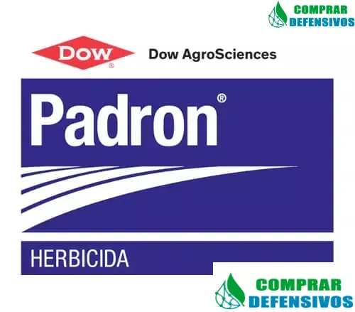 Herbicida Padron 20 litros