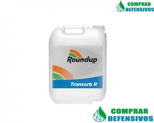 ROUNDUP TRANSORB 5 LITROS