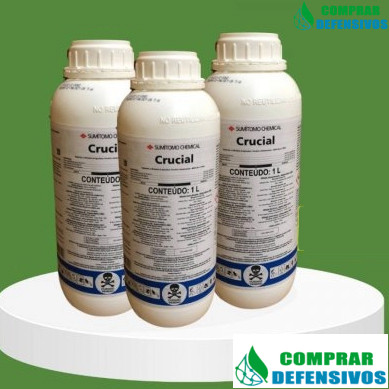 HEBICIDA MATA MATO CRUCIAL 1 LITRO