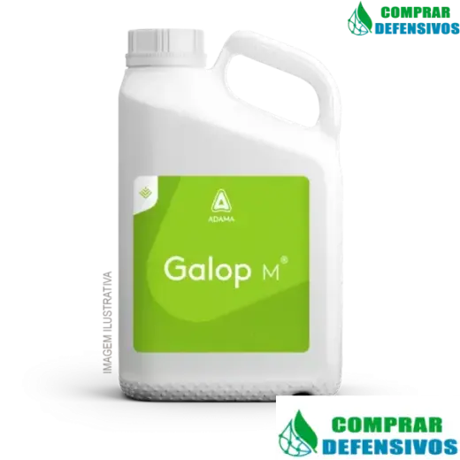 GALOP M 20LT Adama