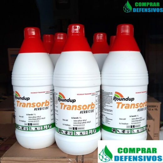 ROUNDUP TRANSORB 1 LITRO