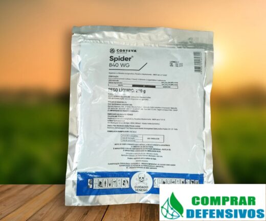 Spider 840 WG Herbicida - Diclosulam