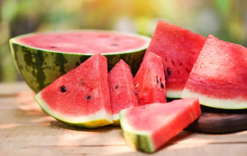 nutricao-e-fertirrigacao-da-melancia-blog